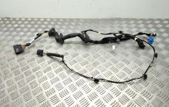 Renault Master III Front door wiring loom 251044R5724