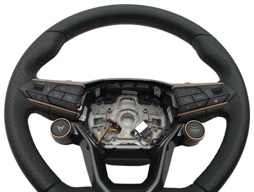 Audi Q3 F3 Steering wheel 5FF419091C