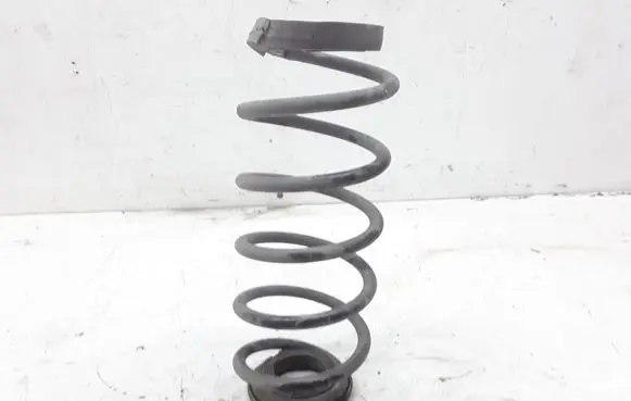 Smart ForFour I Rear coil spring