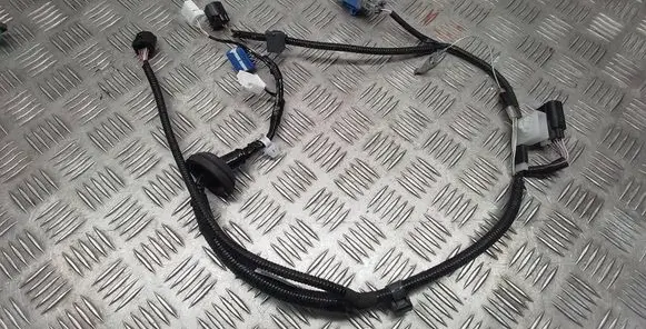 Lexus RX V Other wiring loom 8218148420