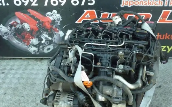 Volkswagen Golf VI Engine CAY