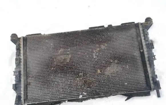 Ford Focus Coolant radiator 3m5h8005tl