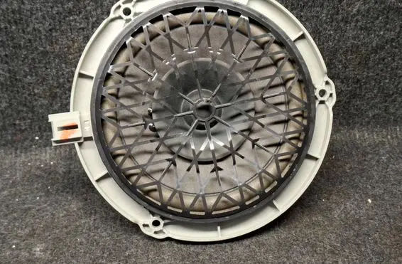 Rear door speaker