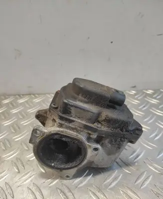 Seat Exeo (3R) EGR valve