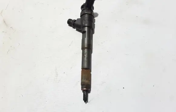 Mercedes-Benz Citan W415 Fuel injector 8201108033