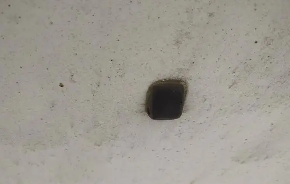 Windshield washer spray nozzle