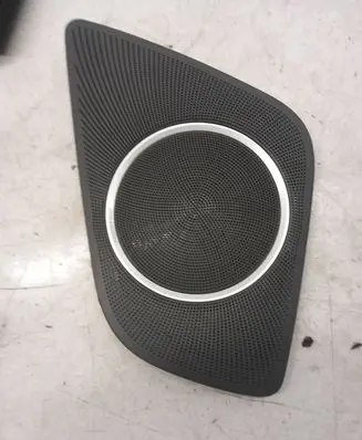 Side speaker trim/cover