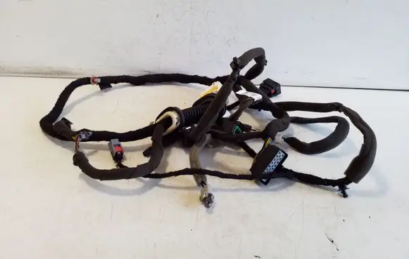 Chevrolet Captiva Front door wiring loom 95491040