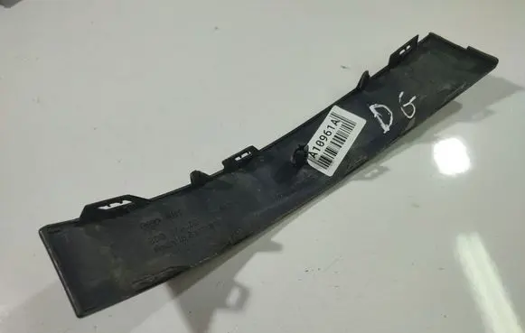 Rear/tail light trim molding