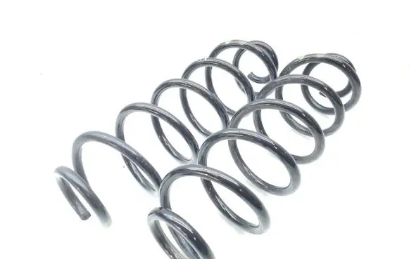 Rear coil spring