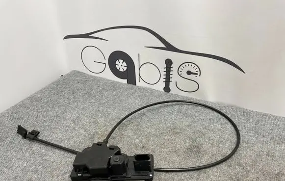 Tesla Model S Rear door lock 600891400D