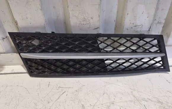 BMW 5 F10 F11 Front bumper lower grill 7200700