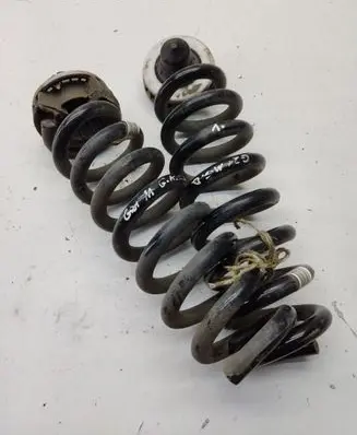 BMW 3 G20 G21 Rear coil spring