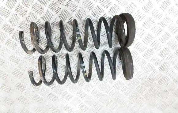 Rear coil spring