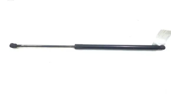 Tailgate strut