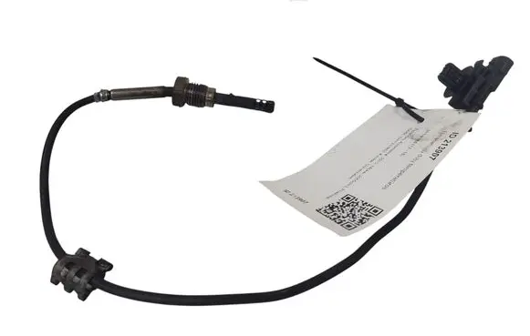 Exhaust gas temperature sensor
