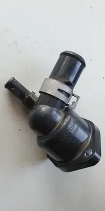 Thermostat/thermostat housing