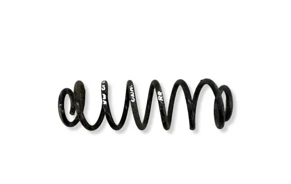 Volkswagen Golf VI Rear coil spring 