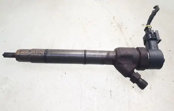 Hyundai i30 Fuel injector 0445110256 338002A400