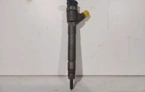 Renault Trafic III (X82) Fuel injector 0445110546