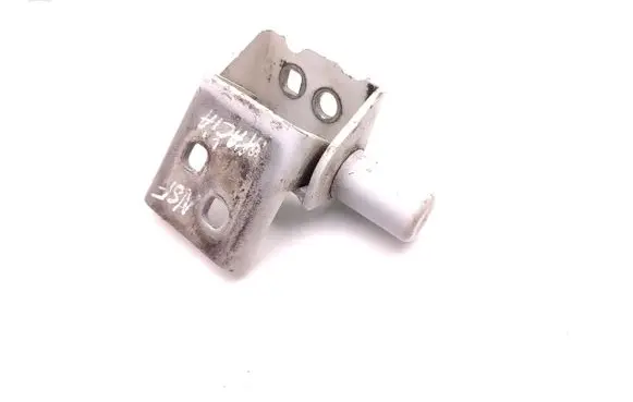 Renault Zoe Front door lower hinge 