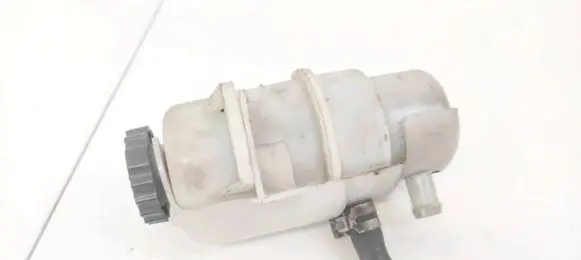 Dodge Journey Power steering fluid tank/reservoir