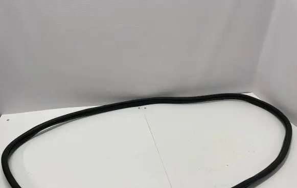 KIA EV6 Rubber seal rear door 