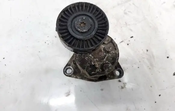 KIA Carnival Generator/alternator belt tensioner