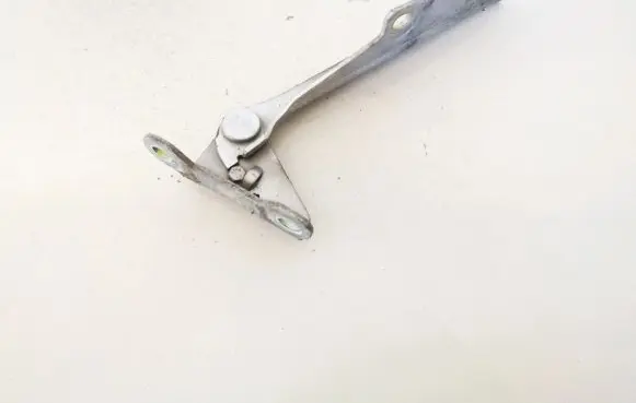 Mitsubishi Carisma Engine bonnet/hood hinges