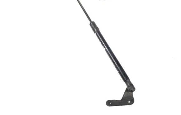 Tailgate strut