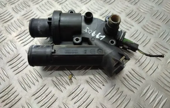 Thermostat/thermostat housing