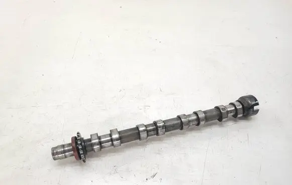 Land Rover Evoque I Camshaft 9670585280