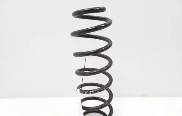 Volkswagen Golf V Rear coil spring 