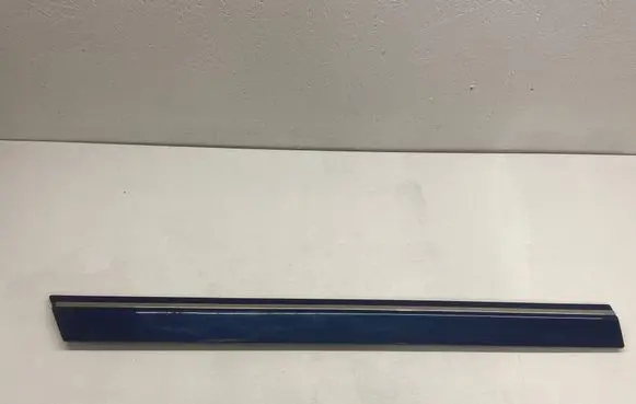 Mercedes-Benz A W169 Front door trim (molding) A1696983862