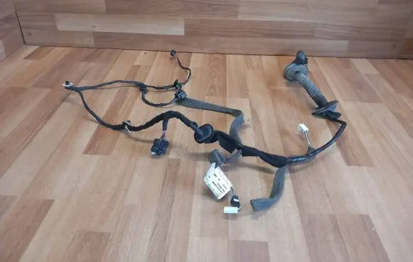 Rear door wiring loom
