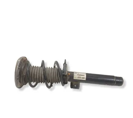BMW 1 F20 F21 Front shock absorber with coil spring 6862173