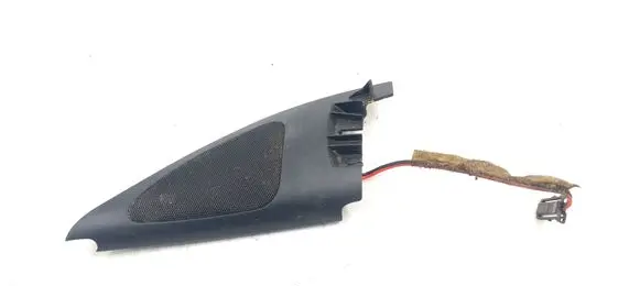 Front door high frequency speaker