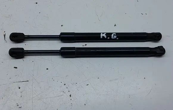 Tailgate/trunk strut/damper