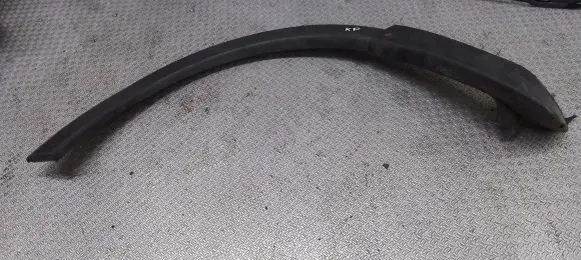 Fender trim (molding)