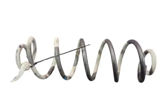 Rear coil spring