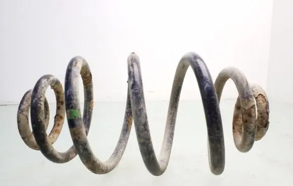 Volkswagen PASSAT B5 Rear coil spring