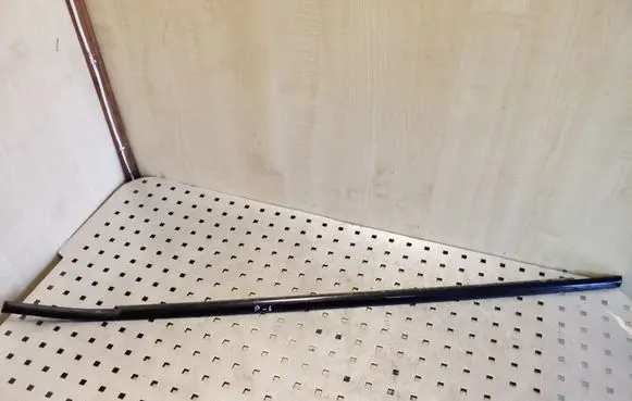 Front door glass trim molding