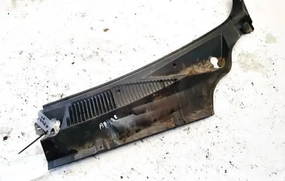 Wiper trim
