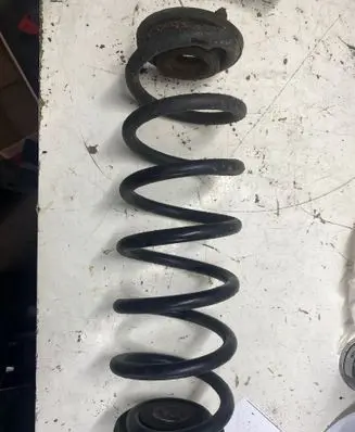 Rear coil spring