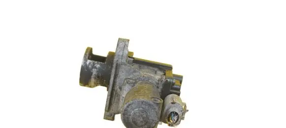 Hyundai Santa Fe EGR thermostat D4HB