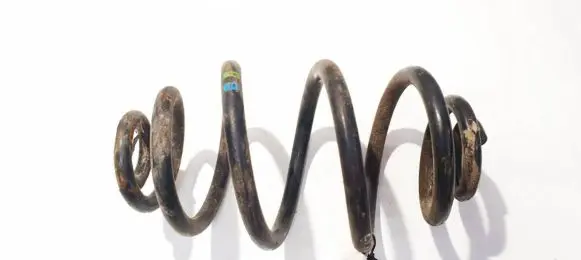 Volkswagen PASSAT B5.5 Rear coil spring