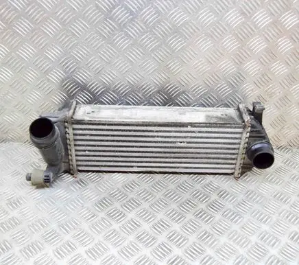 Mercedes-Benz Citan W415 Intercooler radiator 144963234R Y5665004