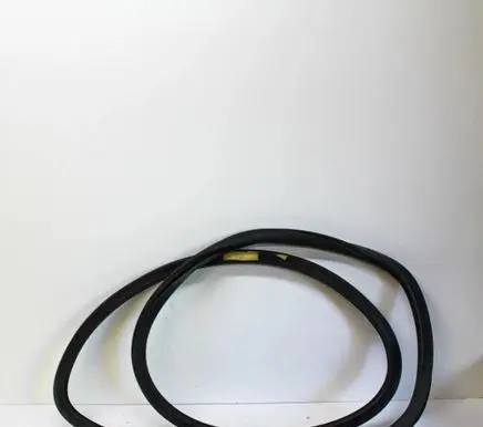 Volkswagen Phaeton Rubber seal rear door 3D4867367J