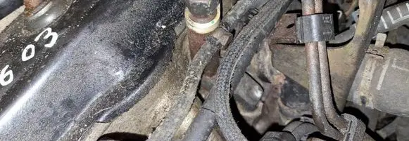 Seat Alhambra (Mk1) Fuel injector