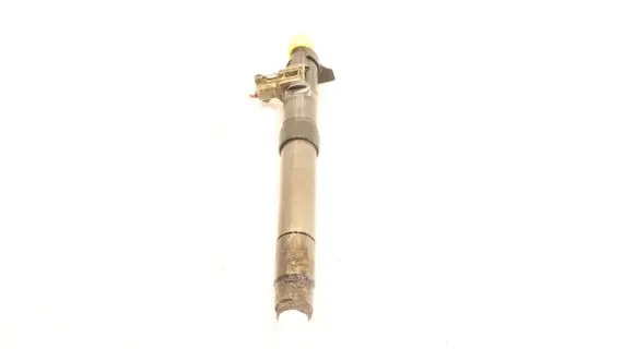 Citroen C5 Fuel injector 9686191080